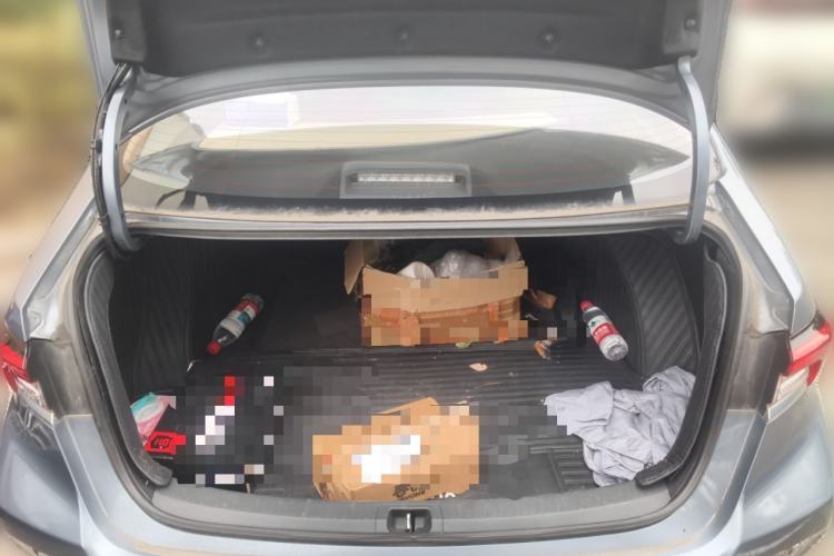 Used Toyota Corolla 2019 Dual-Engine 1.8L E-CVT GL-i Elite Edition