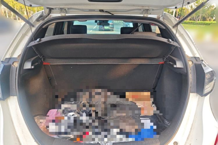 Used Honda LIFE 2021 1.5L CVT SPO-SS Dynamic Edition