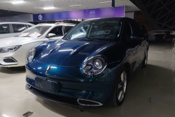 Used ORA Good Cat 2023 401 km Standard Range Prestige Version Lithium Iron Phosphate