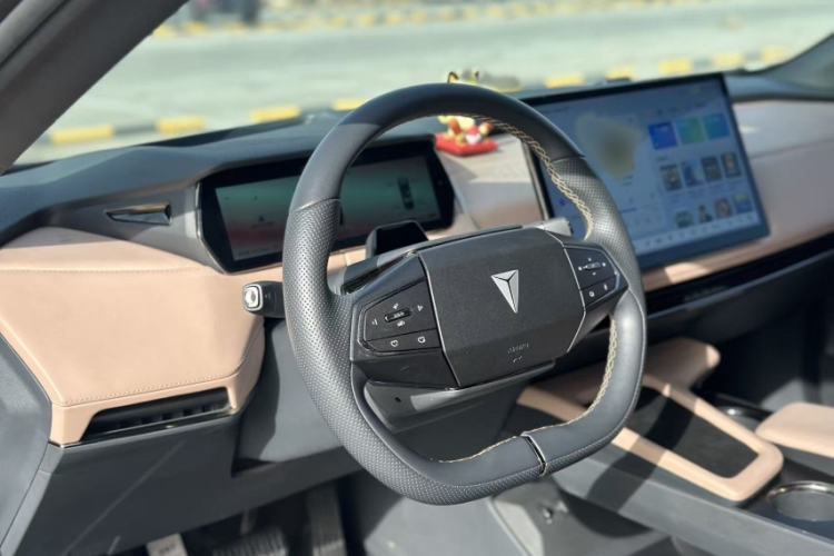 Used  SL03 2022 515 Pure Electric Version
