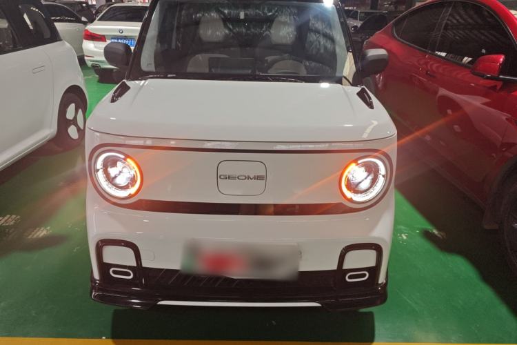 Used  Panda 2024 200km Panda Kart
