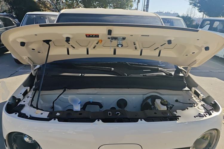 Used  Panda 2025 210 km – Yuanqi Bear