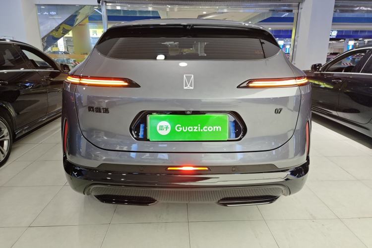 Used  07 2024 Max Extended-Range Edition
