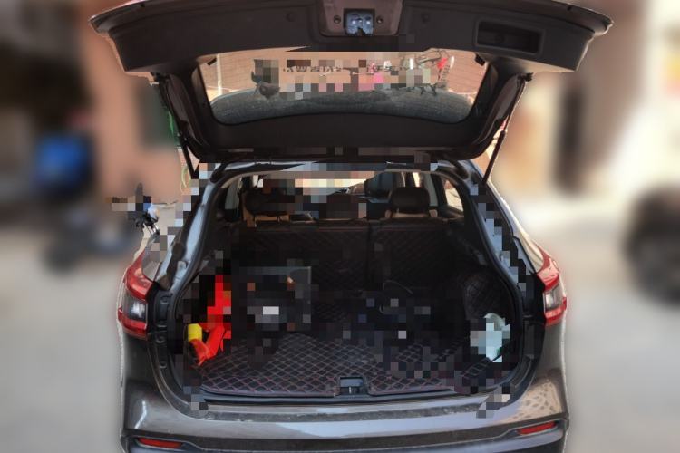 Used Nissan Qashqai 2019 2.0L CVT Luxury Edition
