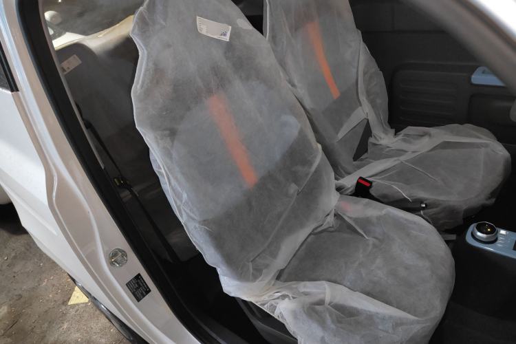 Used  Panda 2024 Panda Mini 200km Endurance Bear
