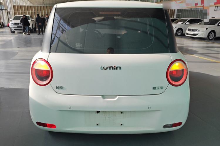 Used  Lumin 2023 205km Xiangqin Version
