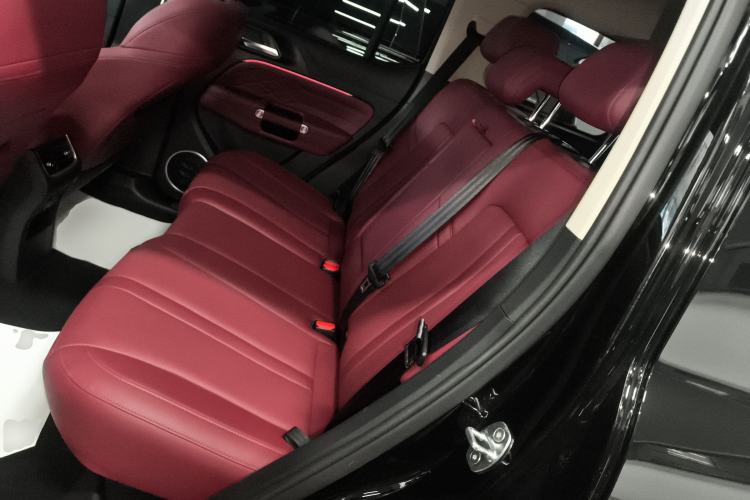 Used Tank 300 2024 2.0T Conqueror