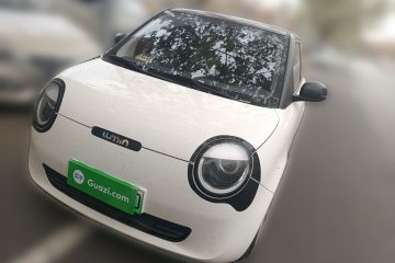 Used Qiyuan Lumin 2024 301km Launch Edition