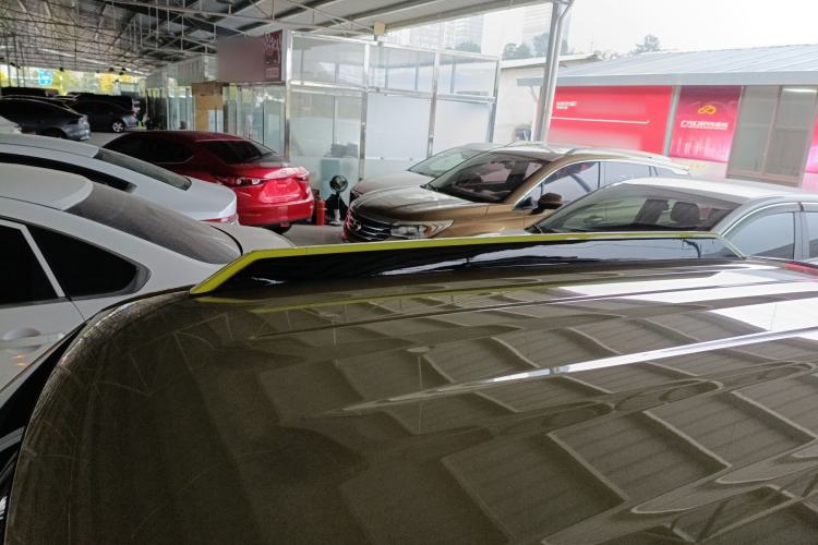 Used  Panda 2024 200km Panda Rider