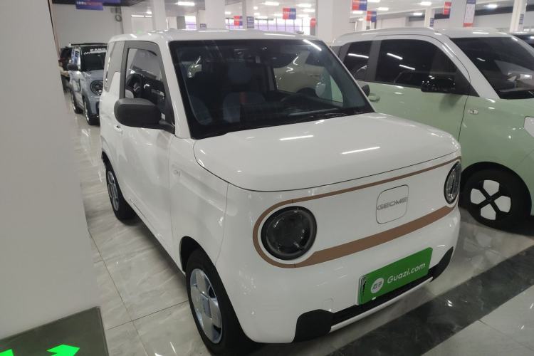 Used  Panda 2024 Panda Mini 200km Endurance Bear
