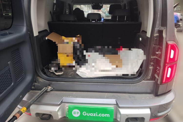 Used  Leopard 5 2025 TianShen Intelligent Driving Max Edition
