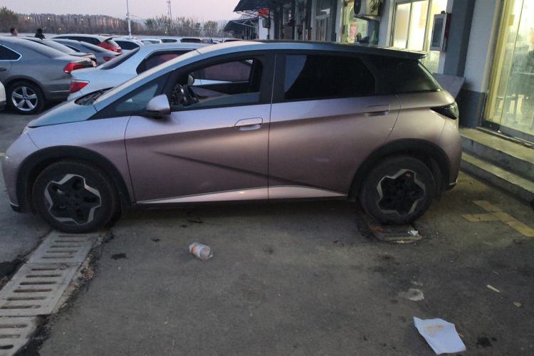 Used BYD Dolphin 2021 405 km Fashion Edition
