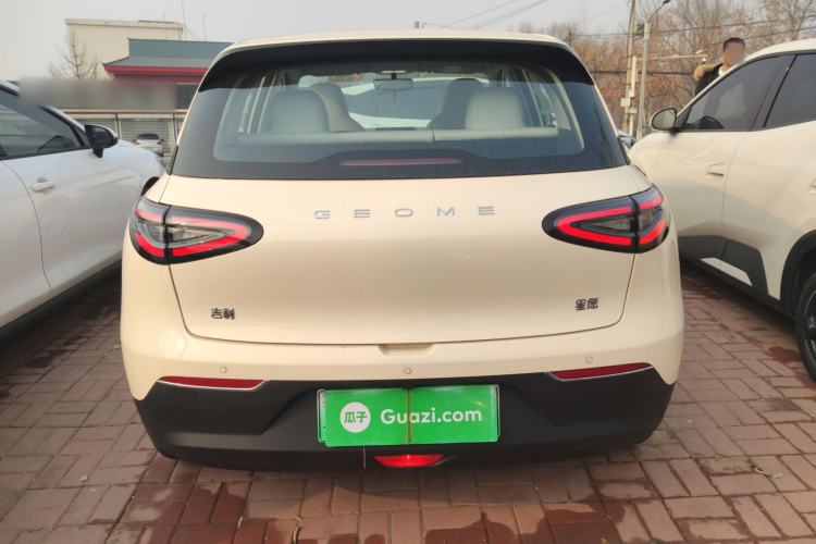 Used  Geome 2025 310km Youth Edition
