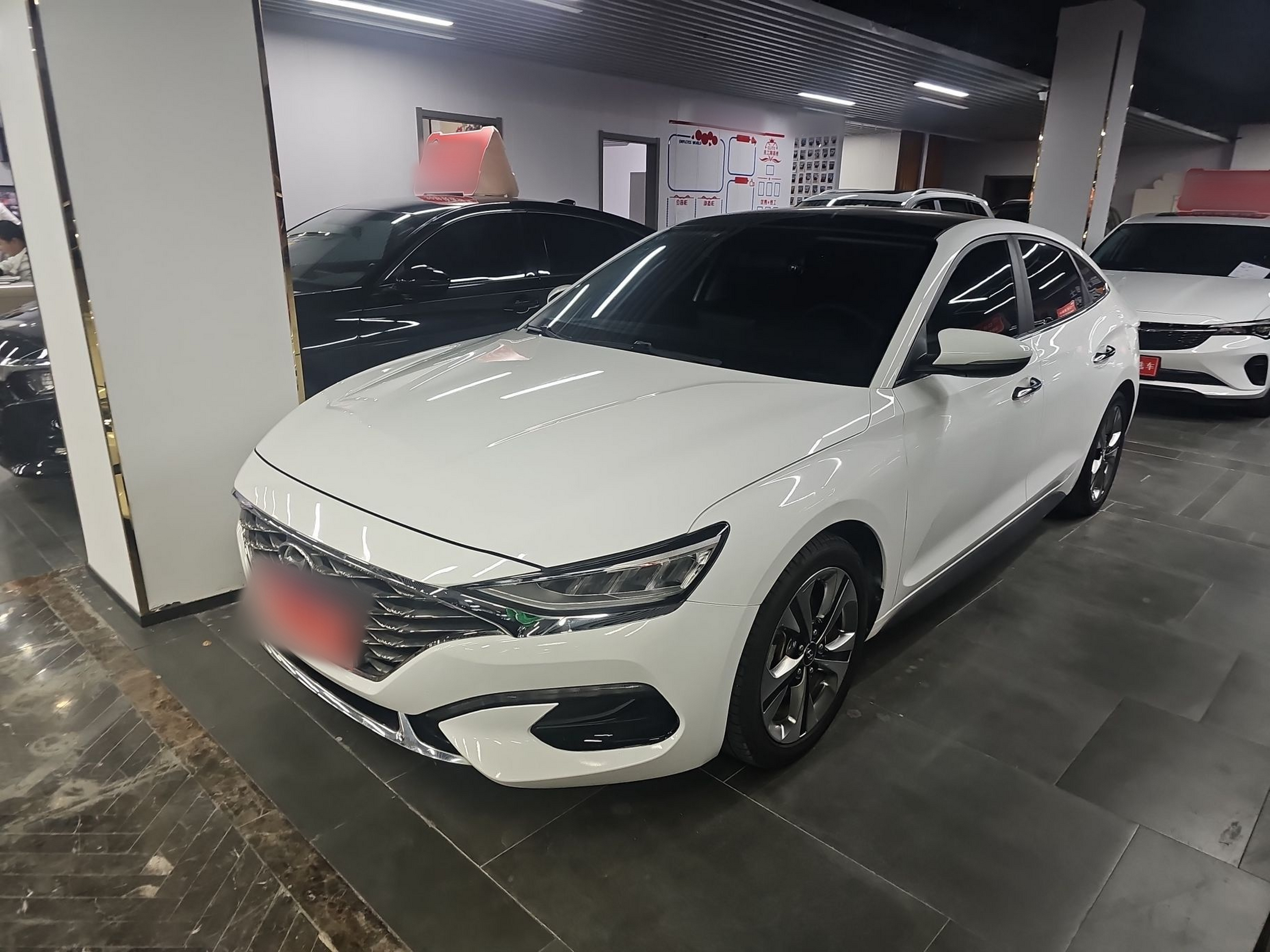 تحت مقدمة السيارة