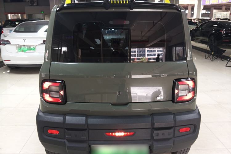 Used  Panda 2024 200km Panda Rider