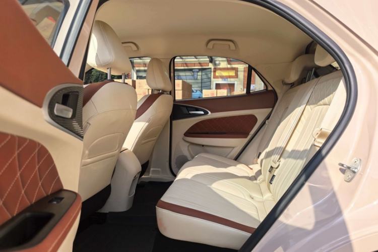 Used ORA Good Cat 2023 401 km Standard Range Luxury Version Lithium Iron Phosphate
