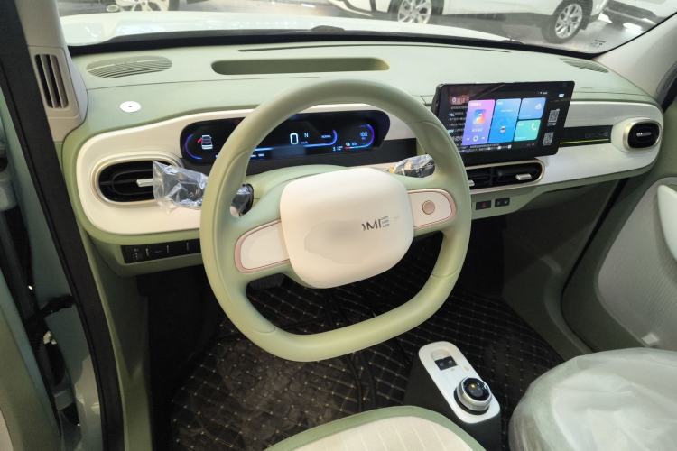 Used  Panda 2025 210 km – Yuanqi Bear
