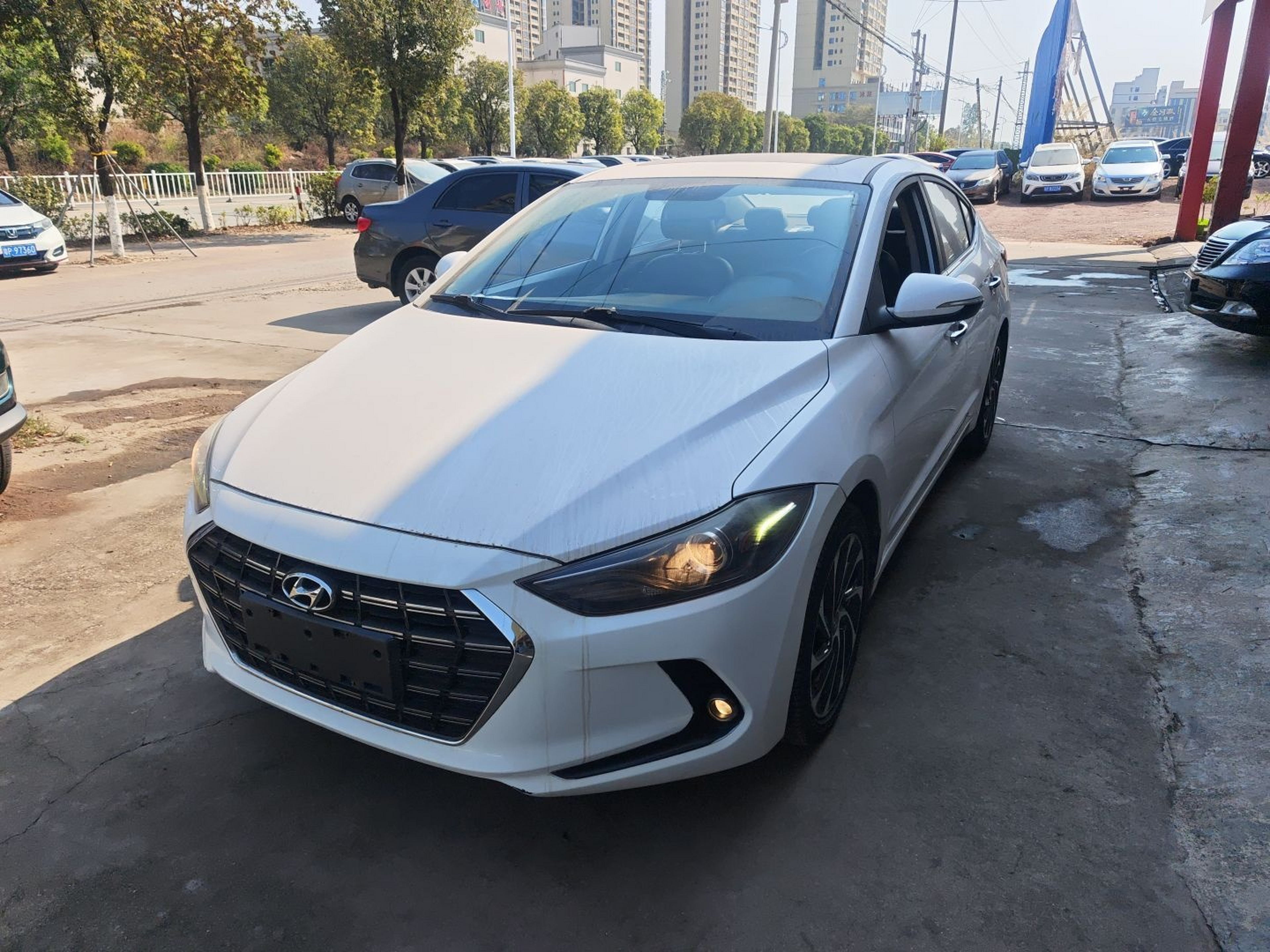 تحت مقدمة السيارة