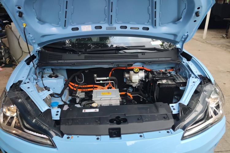 Used NETA AYA 2023 318 Lite
