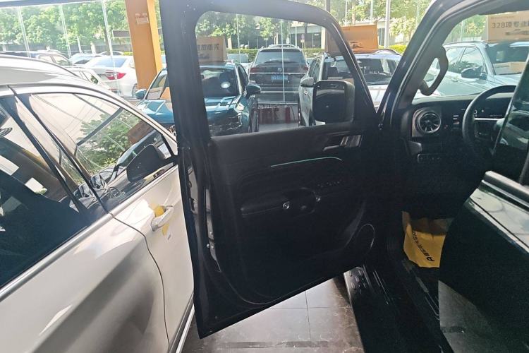 Used Tank 300 2024 2.0T Conqueror
