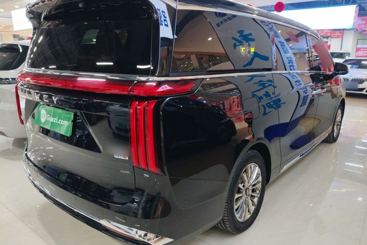 Used Wey Gaoshan 2023 Four-Wheel-Drive Executive Extended Version
