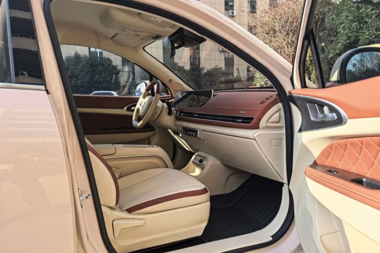 Used ORA Good Cat 2023 401 km Standard Range Luxury Version Lithium Iron Phosphate
