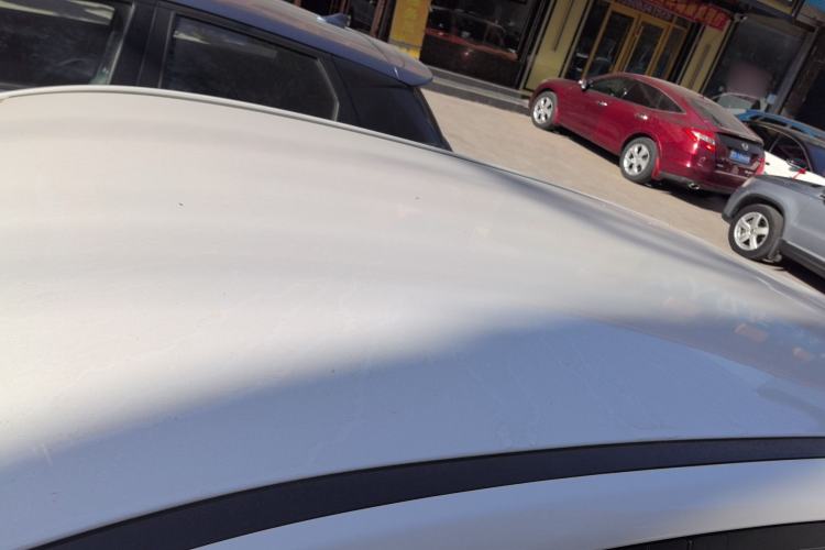 Used NETA V 2022 Standard Range Industry Custom Edition
