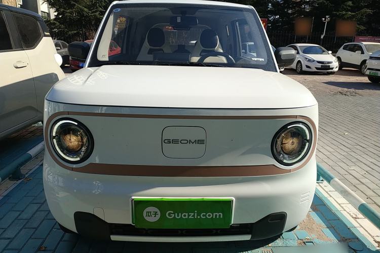 Used  Panda 2024 Panda Mini 200km Endurance Bear