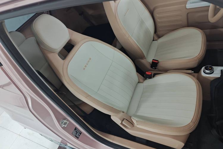 Used  Panda 2023 Panda Mini 200km Endurance Bear
