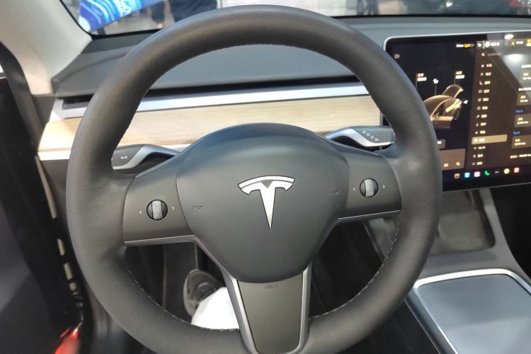 Used Tesla Model Y 2021 Standard Range Rear-Wheel Drive Version
