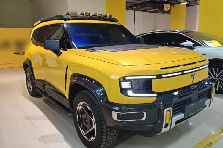 Used  G318 2025 Worry-Free Adventure Edition Four-Wheel Drive Secret Realm Version
