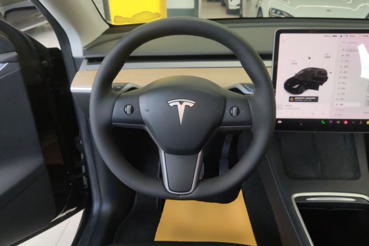 Used Tesla Model Y 2021 Standard Range Rear-Wheel Drive Version
