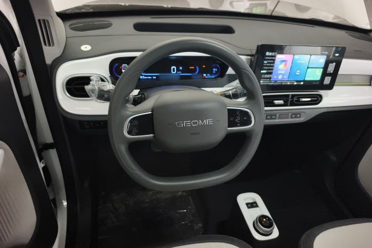 Used  Panda 2025 210 km – Yuanqi Bear
