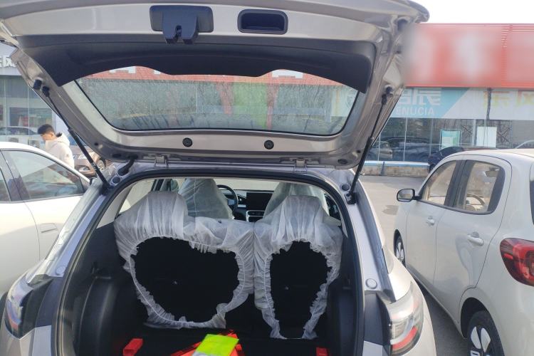 Used  Geome 2025 310km Youth Edition
