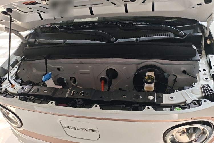 Used  Panda 2023 Panda Mini 200km Endurance Bear
