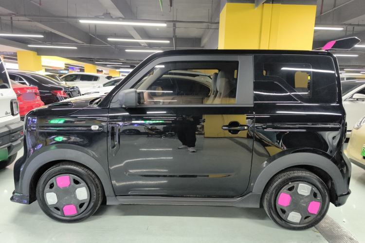 Used  Panda 2024 200km Panda Kart
