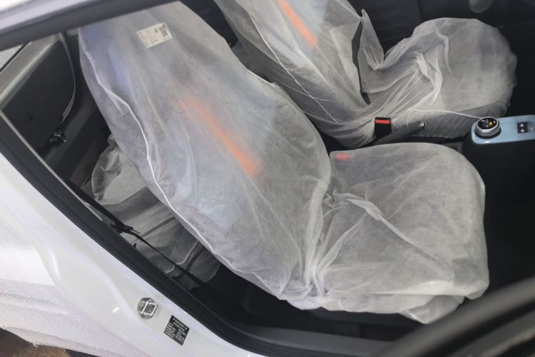 Used  Panda 2024 Panda Mini 200km Endurance Bear
