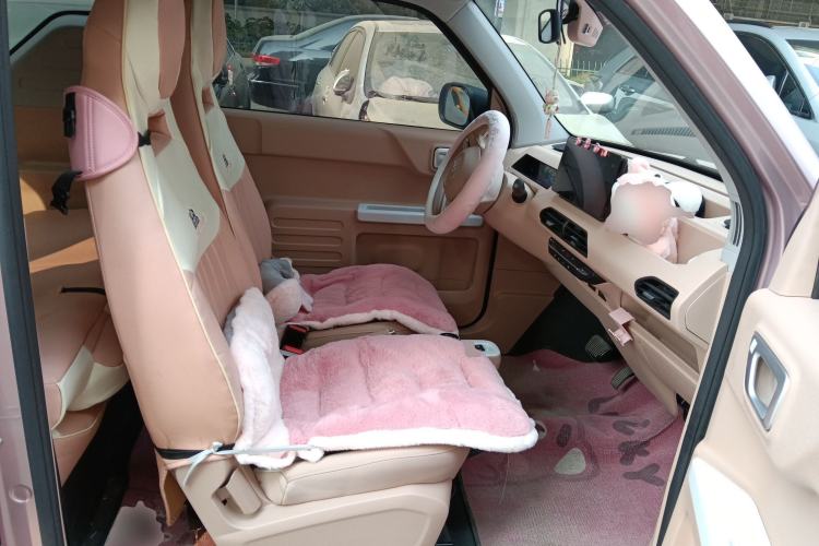 Used  Panda 2023 Panda Mini 200km Endurance Bear
