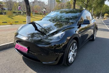 Used Tesla Model Y 2022 Rear-Wheel-Drive Version
