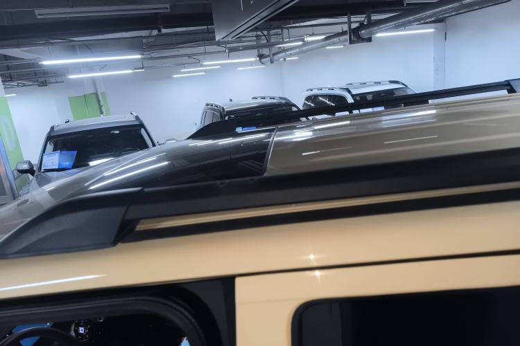 Used Tank 300 2024 2.0T Conqueror