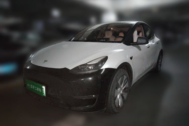 Used Tesla Model Y 2021 Standard Range Rear-Wheel Drive Version