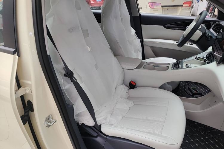 Used  Geome 2025 310km Dream Edition
