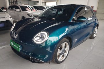 Used ORA Good Cat 2023 401 km Standard Range Luxury Version Lithium Iron Phosphate