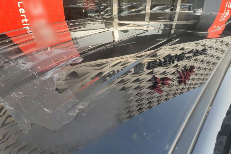 Used Hongqi HQ9 2023 2.0T Smart Connect Flagship Edition