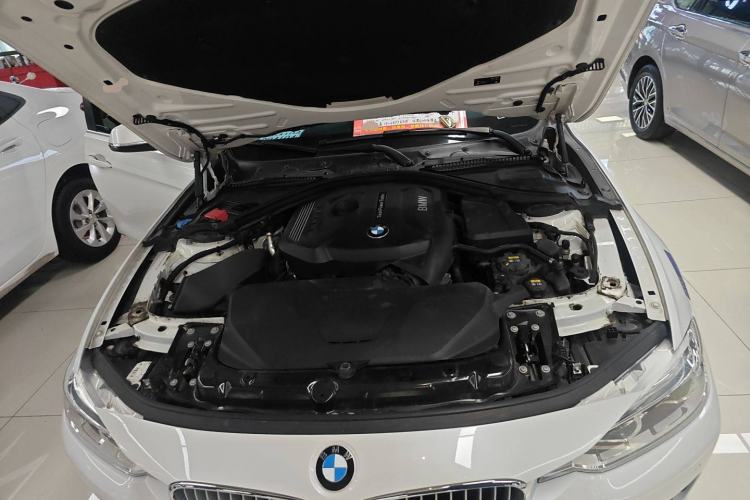 Used BMW 3 Series 2019 320Li xDrive Fashion Model
