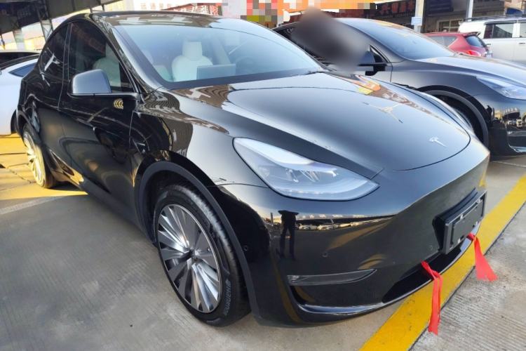 Used Tesla Model Y 2021 Standard Range Rear-Wheel Drive Version
