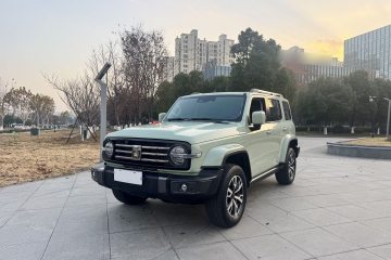 Used Tank 300 2021 City Edition 2.0T—Truly Stylish