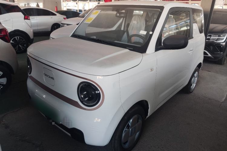 Used  Panda 2024 Panda Mini 200km Endurance Bear
