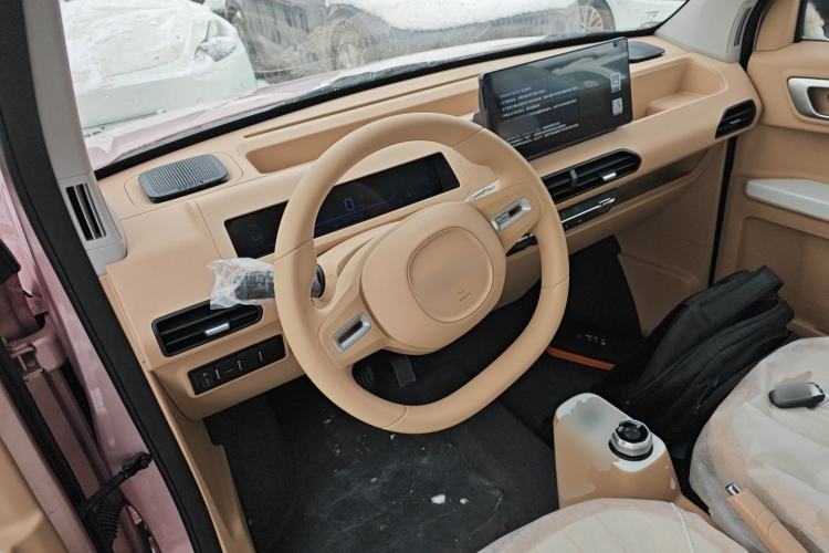 Used  Panda 2024 Panda Mini 200km Endurance Bear
