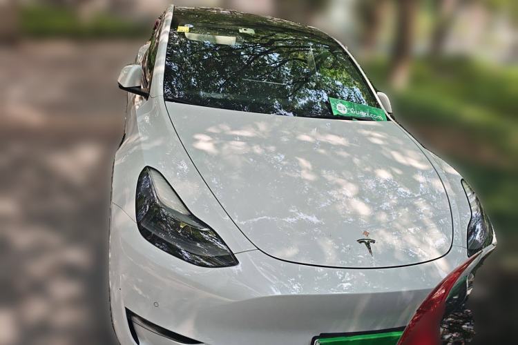 Used Tesla Model Y 2021 Long-Range All-Wheel-Drive Version
